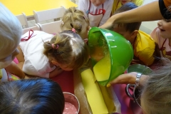 DSC00708